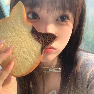 玩伴猫耳娘 封面